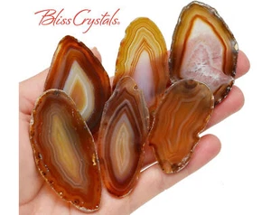 1 XL Fancy GOLD AGATE Slab Slice (2" - 2.5") #SR54 - Picture 1 of 4