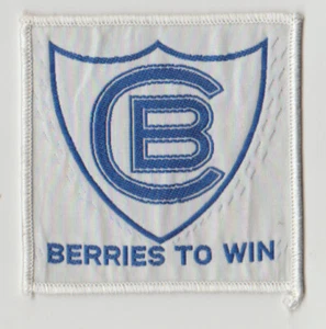 CANTERBURY - BANKSTOWN  BERRIES TO WIN  SUPPORTERS  PATCH  NEW Size7.5cm x 7.5cm - Imagen 1 de 2