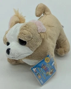 NWT Webkinz Lil’ Kinz Chihuahua HS104 Puppy Dog w/ SEALED CODE! - Bild 1 von 3