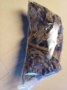 Walnussblätter Walnusslaub Aquarium Garnelen Schnecken Deko - Bild 1 von 3