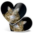 2 x Heart Stickers 7.5 cm - Tabby Cat Kitten Pets Animal  #15586