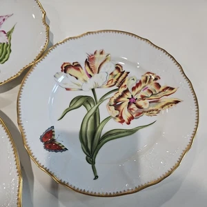Anna Weatherley Pannonian Garden Double Tulip 7.5" Salad Plate excellent 24kt - Picture 1 of 6
