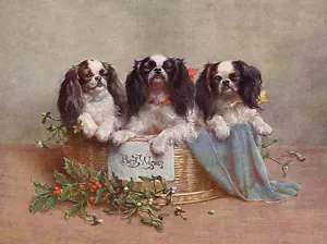 KING CHARLES SPIELZEUG SPANIEL CHARMANT HUND GRÜSSE NOTIZKARTE DREI HUNDE IM KORF - Bild 1 von 1