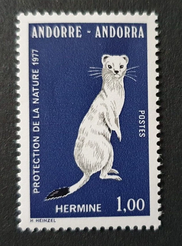 1977 FRENCH ANDORRA ANDORRE ANIMAL HERMELIN VF MNH - Image 1 of 1