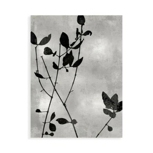 Impression sur Toile Sur Papier Affiche Ou Peinture Carson par Danielle Nature - Imagen 1 de 2