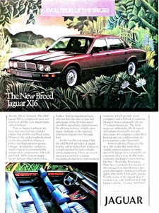 1988 Jaguar XJ6 Vintage Evolution Of The Species Original Print Ad 8.5 x 11" - Picture 1 of 5