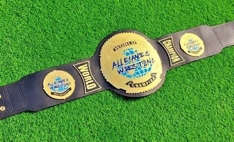World All Eiances Championship Belt 2MM brass Adult Sized Championship belt Cover