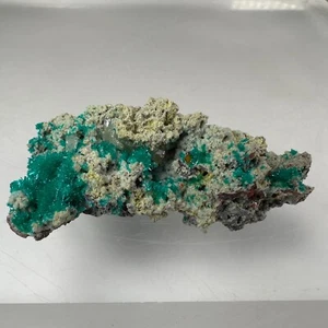Superb Dioptase, Cerussite: Mammoth-St. Anthony Mine, Tiger., Arizona- Classic! - Picture 1 of 4