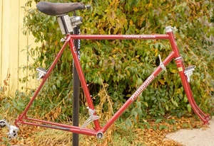 Vintage Panasonic Touring Deluxe Frameset Frame Bike 57cm Lugged Steel Maroon 23 - Picture 1 of 16