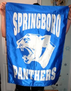 Springboro Ohio Panthers High School Banner • Flag Mascot 28x38" Pole Pocket - Picture 1 of 9