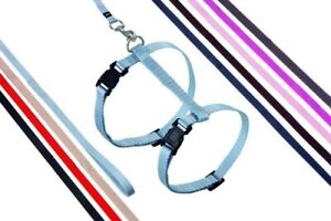 Leash and Harness for Cats KARLIE