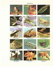 1957 Page du dictionnaire Nouveau Century - Insectes