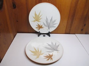Juego de 2 Platos de Cena Iroqueses Tiempo de Cosecha Informales Ben Seibel 10 1/4" Hojas - Imagen 1 de 6