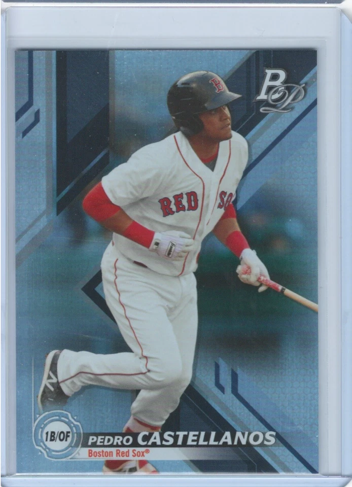 2019 Bowman Platinum TOP-87  Pedro Castellanos Boston Red Sox - Image 1 of 1