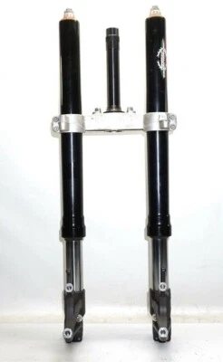 Aprilia RSV 1000 2006 2008 Tuono horquilla delantera tubos rectos Foto 1 de 4