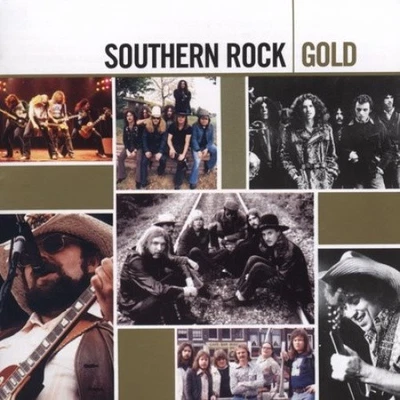 Southern Rock Gold by Various Artists [Audio CD] - Bild 1 von 2