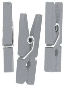 Pinze Per Il Bucato In Legno Argento 2,5 Cm 50 Pezzi - Imagen 1 de 1