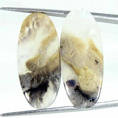 20.50Cts Natural Tiger Dendritic Agate Oval Pair Cab Loose Gemstone 11x26x4mm - Image 1 of 4