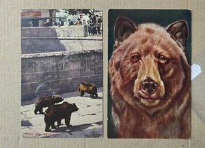 BEAR ORSO-LOT 2 POSTCARDS-C65-187 - Picture 1 of 1