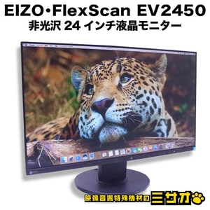 EIZO FlexScan EV2450 23.8 Inch LCD Monitor Full HD Non-Glare Pivot Used - Picture 1 of 10