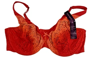 New Lane Bryant Cacique Bra 40DD Ombre Orange Linear Lace Unlined Full Coverage - Picture 1 of 9
