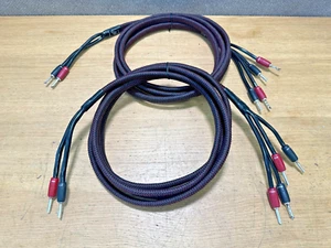 AudioQuest Rocket 33 10 Fuß Bi-Wire Lautsprecherkabel (Paar) - Bild 1 von 11