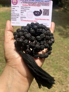 LABORZERTIFIZIERT 5 Mukhi RUDRAKSHA Schwarz Rudraksh Mala ROSENKRANZ 108+1 Ge... - Bild 1 von 9