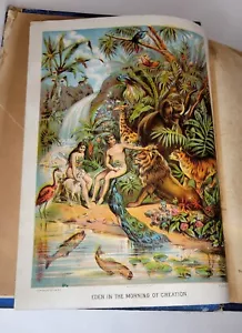 Antique 1887 Religious Bible Book Over 250 Engravings Bright Allegorical Plates - Picture 1 of 23