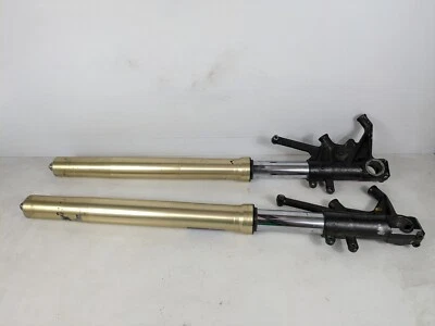 06-11 Horquillas de suspensión delantera Kawasaki Ninja ZZR1400 ZX14 (necesita sellos) Foto 1 de 4