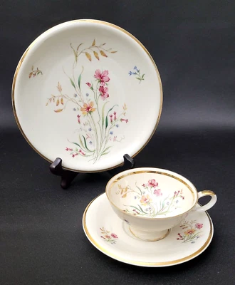 Juego de platos y tazas y platillos de porcelana Bavaria Schirnding con adornos florales y dorados Foto 1 de 4