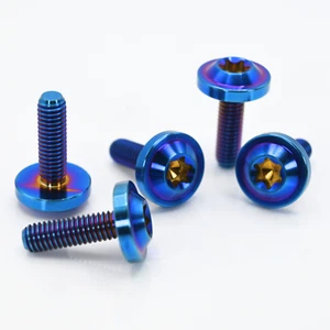 6PC BURNT TITANIUM FENDER BUMPER HEADLIGHT BOLTS 10MM FOR 06-11 HONDA CIVIC SI - Picture 1 of 5