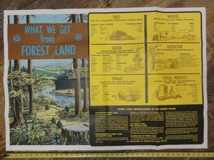 1968 Smokey The Bear What we get from Forest Land Poster 40" x 28" - Picture 1 of 6