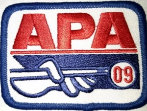 π₯π± APA 2009 MEMBERSHIP PATCH PATCHES AMERICAN POOLPLAYERS π₯ - Picture 1 of 1