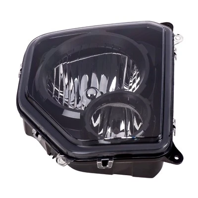 08-12 Jeep Liberty FARO DELANTERO DERECHO LADO TINTADO LÁMPARA FABRICANTE ORIGINAL NUEVO MOPAR Foto 1 de 4