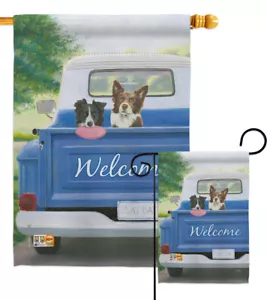 Giornata di gioco con amici animali domestici cani cane cucciolo camion amico giardino casa cortile bandiera - Foto 1 di 13