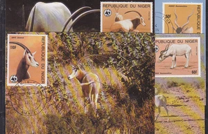 v1901 Níger/WWF 1985 antílopes MiNr 941/44 en 4 maxiCard - Imagen 1 de 1