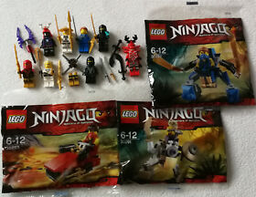 LEGO® Ninjago 8 Figures (Cole, Zane), 3 Polybags (30291 30292 30293) & Accessories