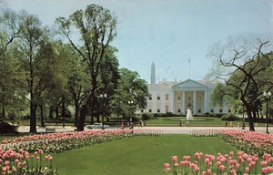 Vintage Das Weiße Haus mit rosa Tulpen Washington DC Postkarte - Bild 1 von 2
