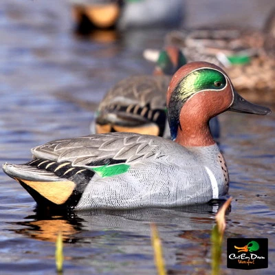 AVERY OUTDOORS GREENHEAD GEAR GHG PRO GRADE GREEN WINGED TEAL DUCK DECOYS - Image 1 of 4