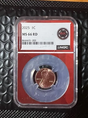 2025 P Lincoln Shield Cent PCGS MS66RD - Image 1 of 2