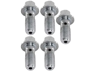 Para Ford Thunderbird 1989-1997 Freno Hidráulico Banjo Perno Raybestos 62114JGTZ Foto 1 de 2