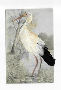 Postal Vintage CIGÜEÑA acentuada con PLUMAS REALES Pájaro - Imagen 1 de 2
