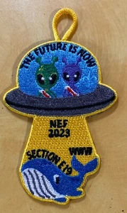 Section E19 ... 2023 Fellowship ... Participant Patch - Picture 1 of 1