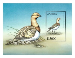 Zambia 2000 - Birds of The World Sandgrouse - Souvenir Sheet - Scott 901 - MNH - Picture 1 of 1