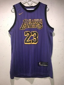 LeBron James #23 LOS ANGELES LAKERS Purple SHOWTIME Stripe Jersey Men’s 54 XXL - Picture 1 of 24