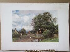 Vintage Print,NORTHUMBERLAND ROAD,Water Colour Society,1804-1904