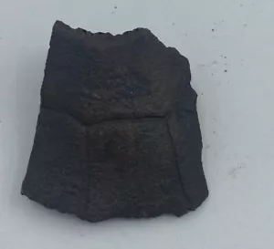 Fossilized Turtle Shell Fragment from Florida, Pleistocene Epoch T17 - Picture 1 of 4
