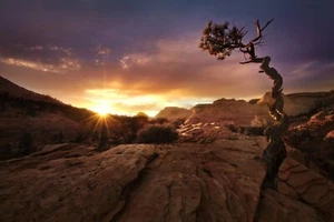 Distorted By Mirko Vecernik Western Photography Giclee Art Print Ships Free - Afbeelding 1 van 4