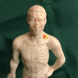Vtg Acupuncture 11” Male Model of Human Body Doll Chinese/Eng Book Shanghai NIB - Picture 1 of 16