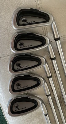 Juego de varillas de acero flexibles regulares Lynx Black Cat Iron 2,3,4,5,6,7,8,9,PW,SW agarre nuevo Foto 1 de 4